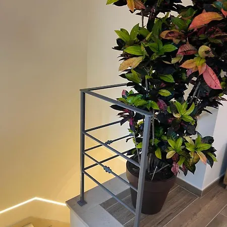 Le Dimore Del Gufo - Royal Bed & Breakfast 4*